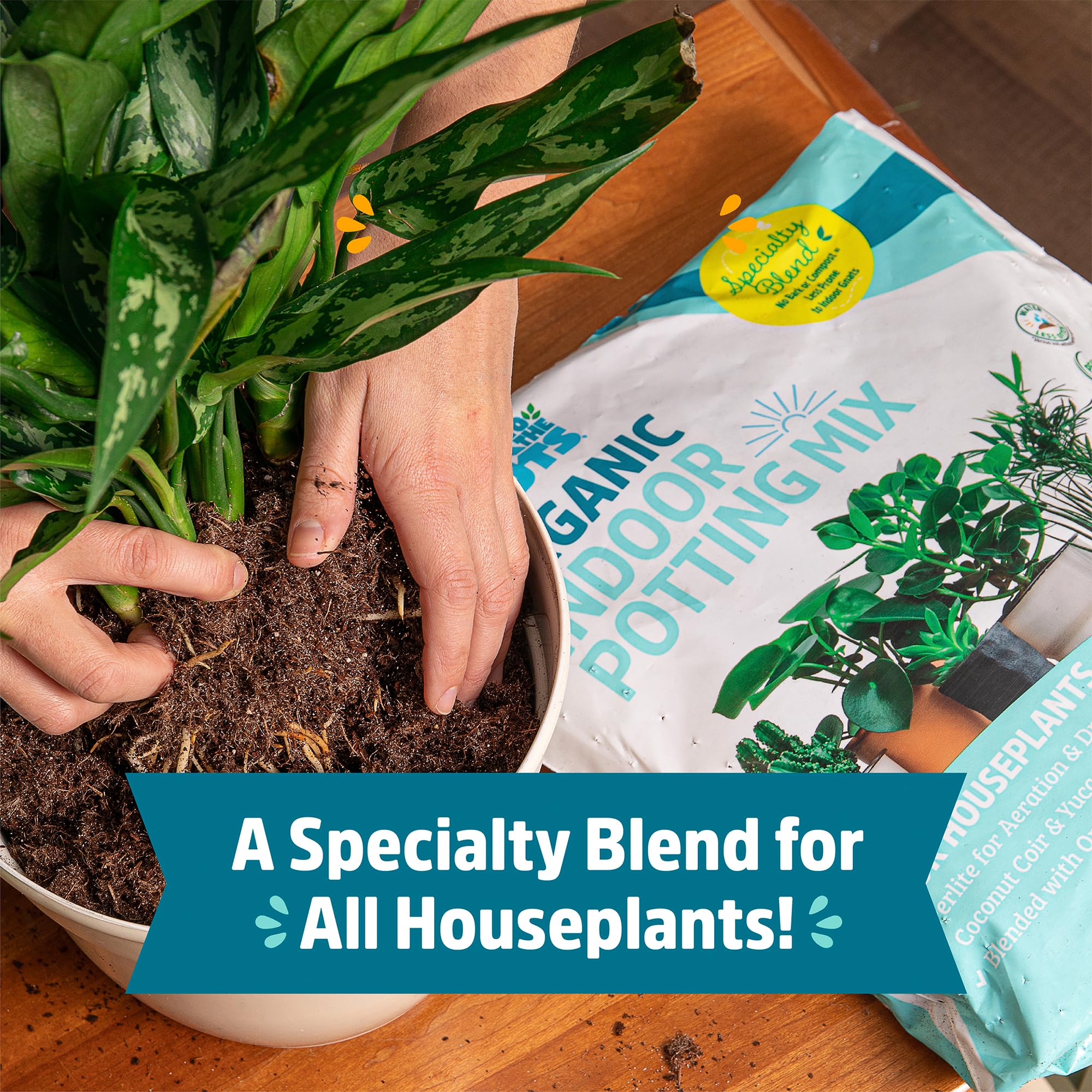 Back to the Roots root-boosting mycorrhizae in soil supports healthier root development