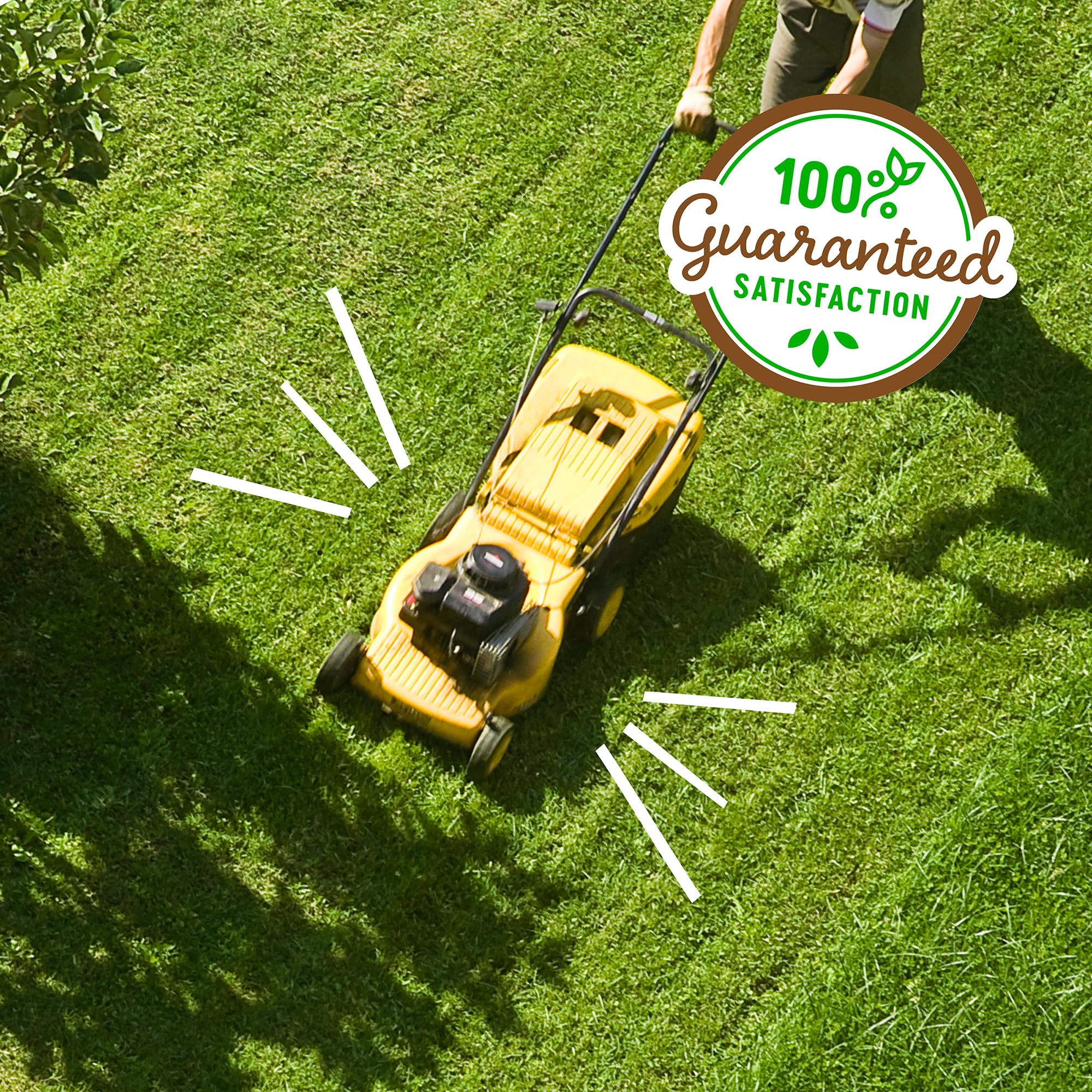Back to the Roots lawn food is safe for people and pets when used as directed