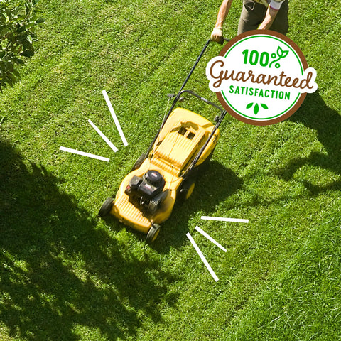 Back to the Roots lawn food is safe for people and pets when used as directed