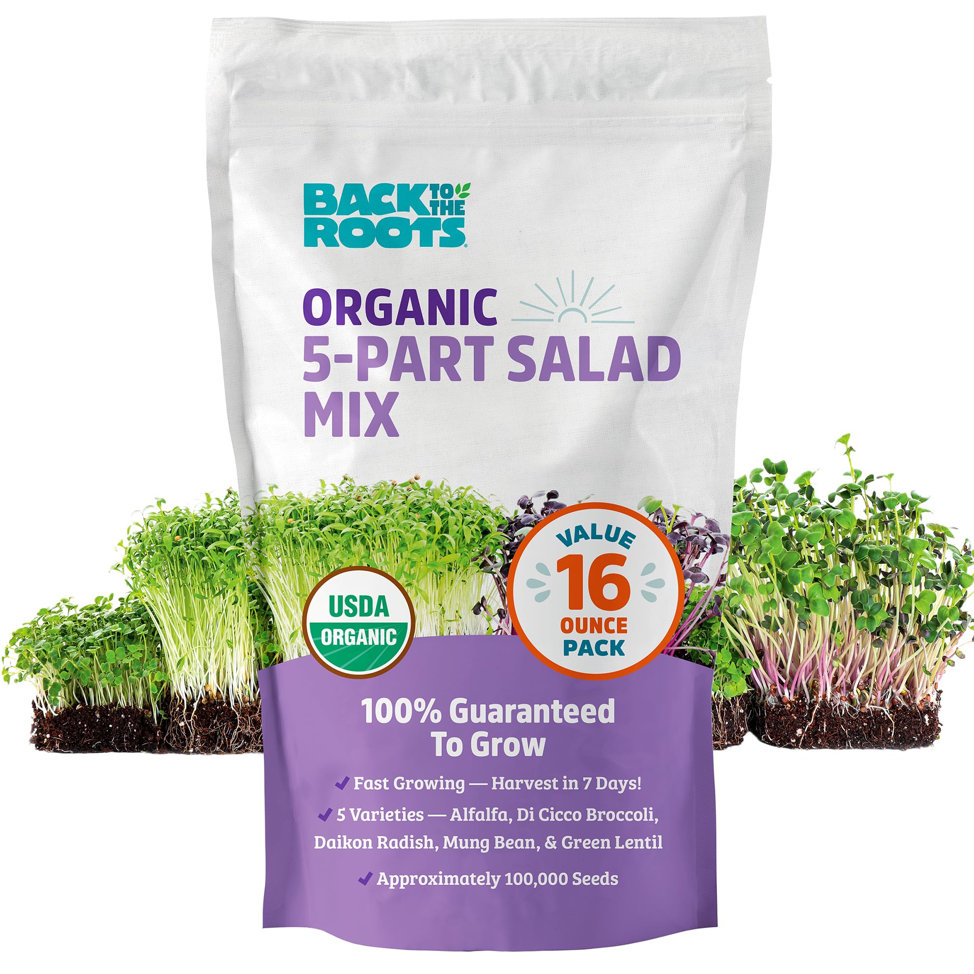 Back to the Roots 1lb salad seeds bag, ready for quick home sprouting and fresh greens.