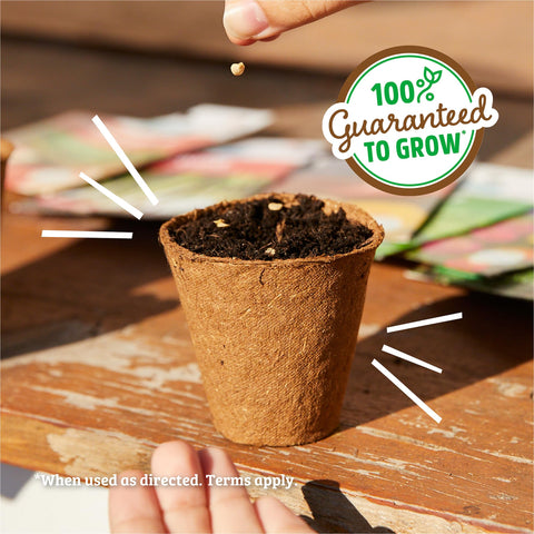 Back to the Roots organic and non-GMO seeds ensure clean, reliable germination.
