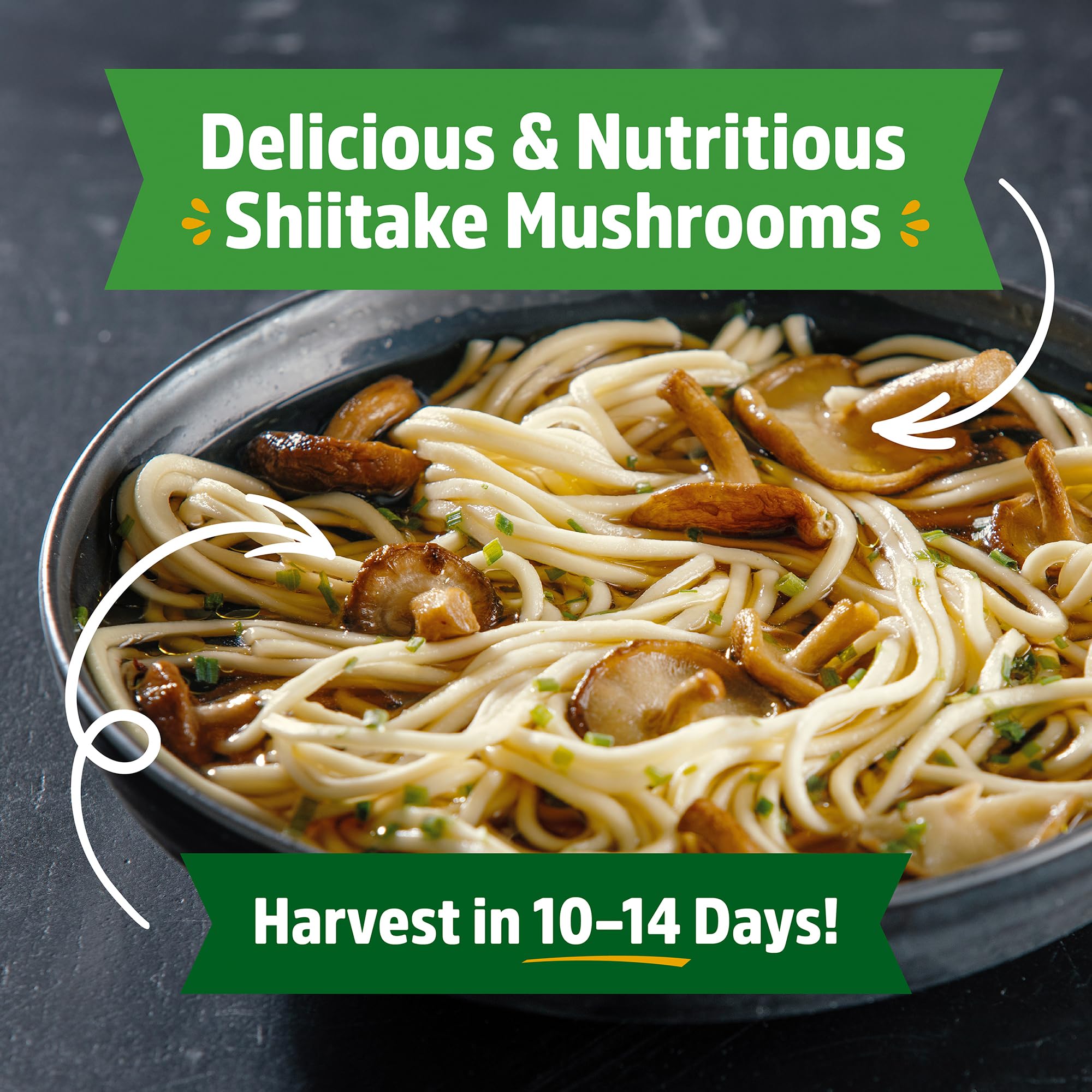 Back to the Roots Shiitake harvest shows fresh homegrown mushrooms