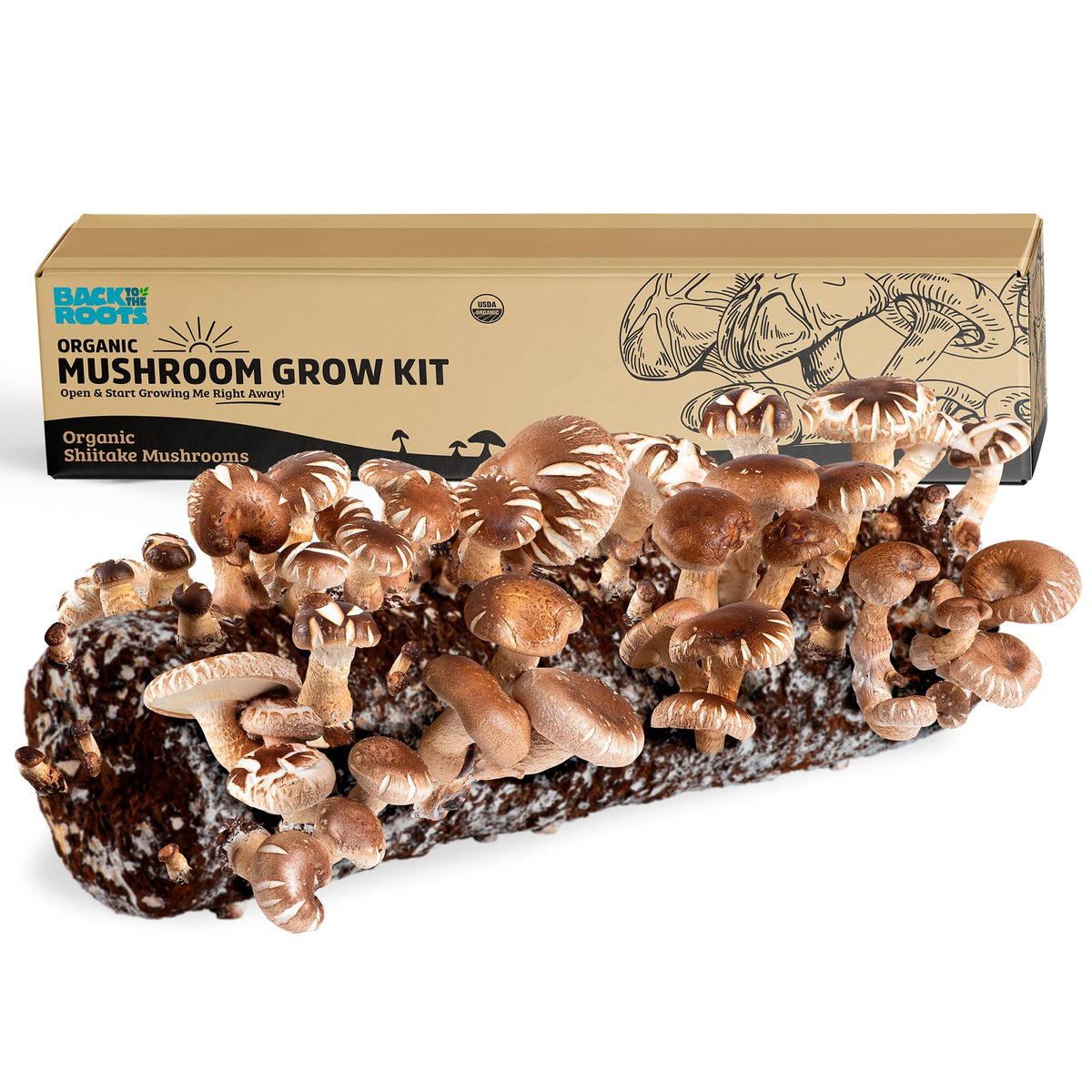 Back to the Roots Shiitake kit unopened box enables simple indoor growing