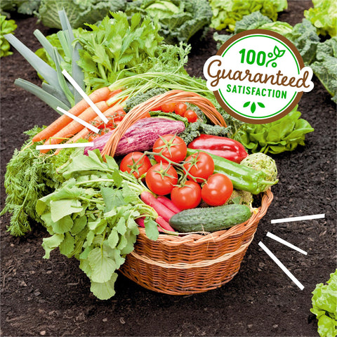 Back to the Roots sustainable packaging emphasizes an eco-friendly garden solution.