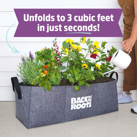 Back to the Roots three-square-feet setup demonstrates compact space for urban gardening.