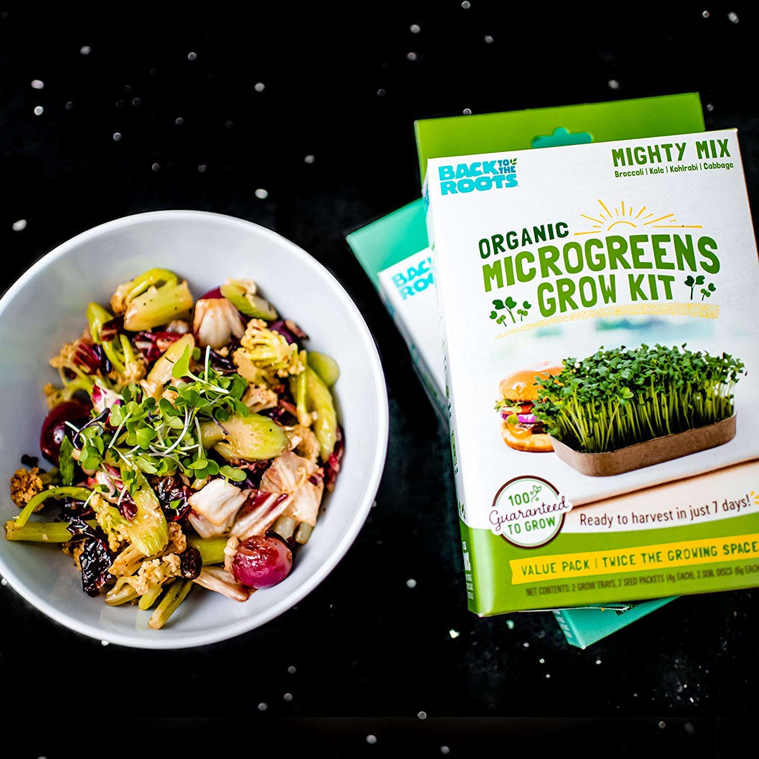 Back to the Roots usa-made packaging—quality, US-made promise for eco-conscious shoppers.