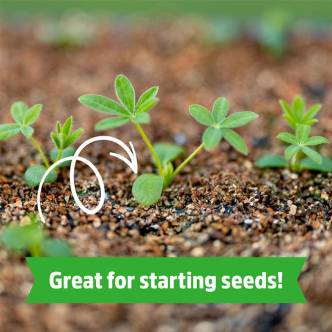 Back to the Roots vermiculite supports moisture retention for outdoor pots and raised beds.