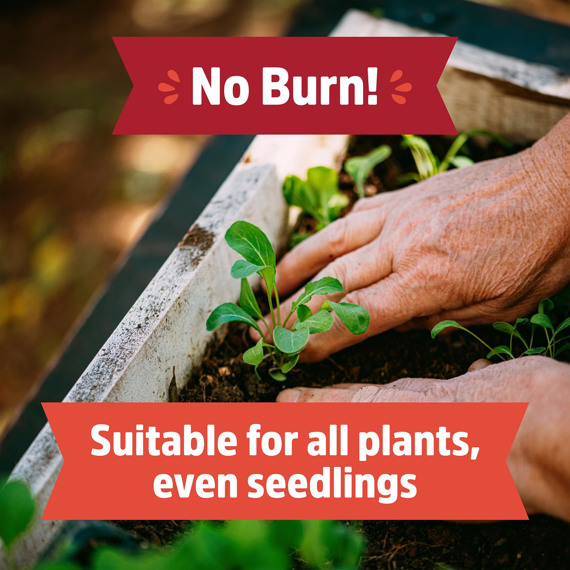 Back to the Roots watered soil mix illustrates versatile indoor-outdoor use.