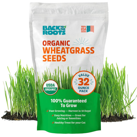 Back to the Roots wheatgrass seeds 2lb pack ready for easy home growing for fresh juice.
