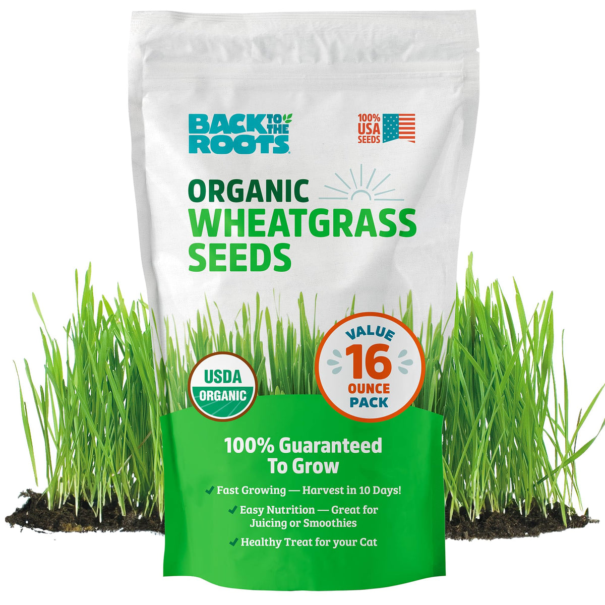 Back to the Roots wheatgrass seeds bag—organic and easy to grow for fresh greens.