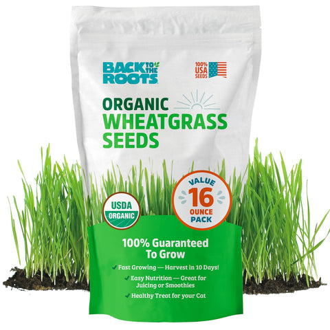 Back to the Roots wheatgrass seeds bag—organic and easy to grow for fresh greens.