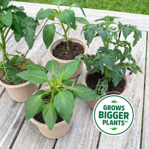 Back to the Roots worm castings enrich soil with natural nutrients.