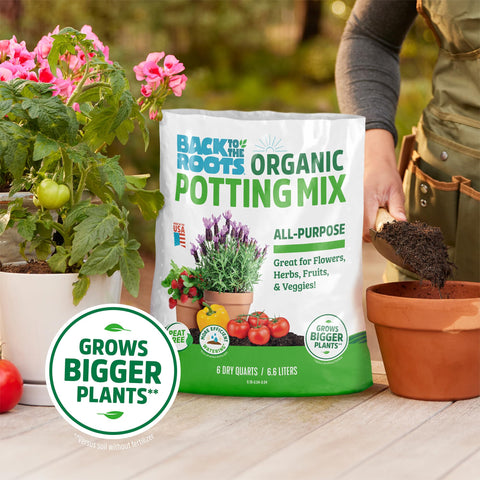 Back to the Roots yucca extract moisture-control feature supports balanced watering.