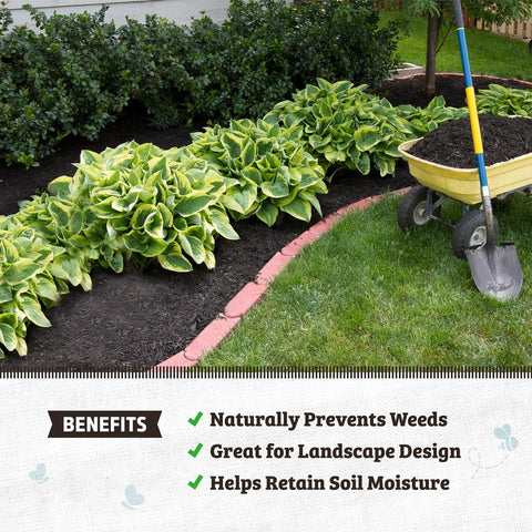 Back to the Roots yucca moisture control feature