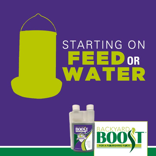 MOS prebiotic provides energy to gut bacteria supporting digestion.