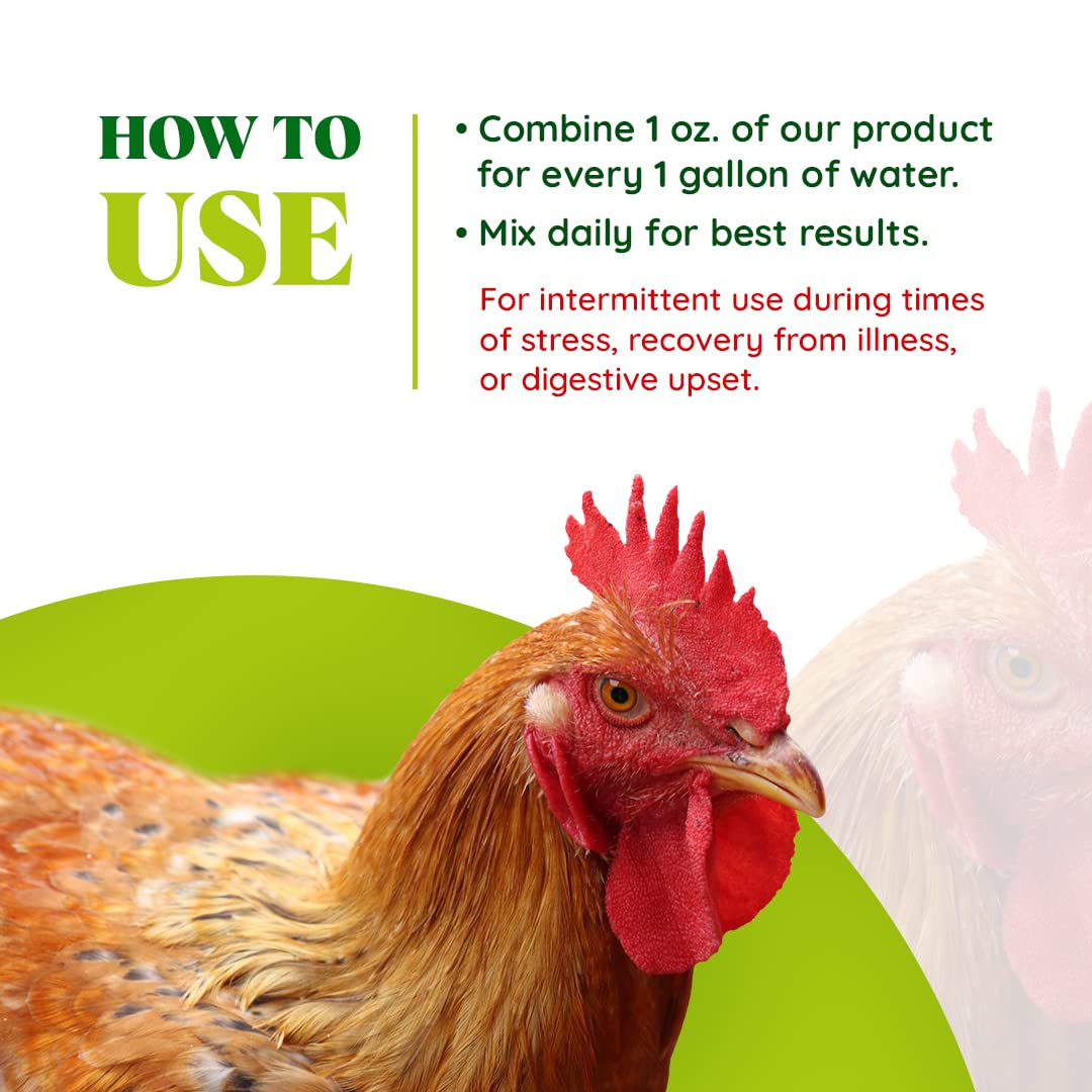 Close-up of multivitamin formula for healthier hens and immunity support.