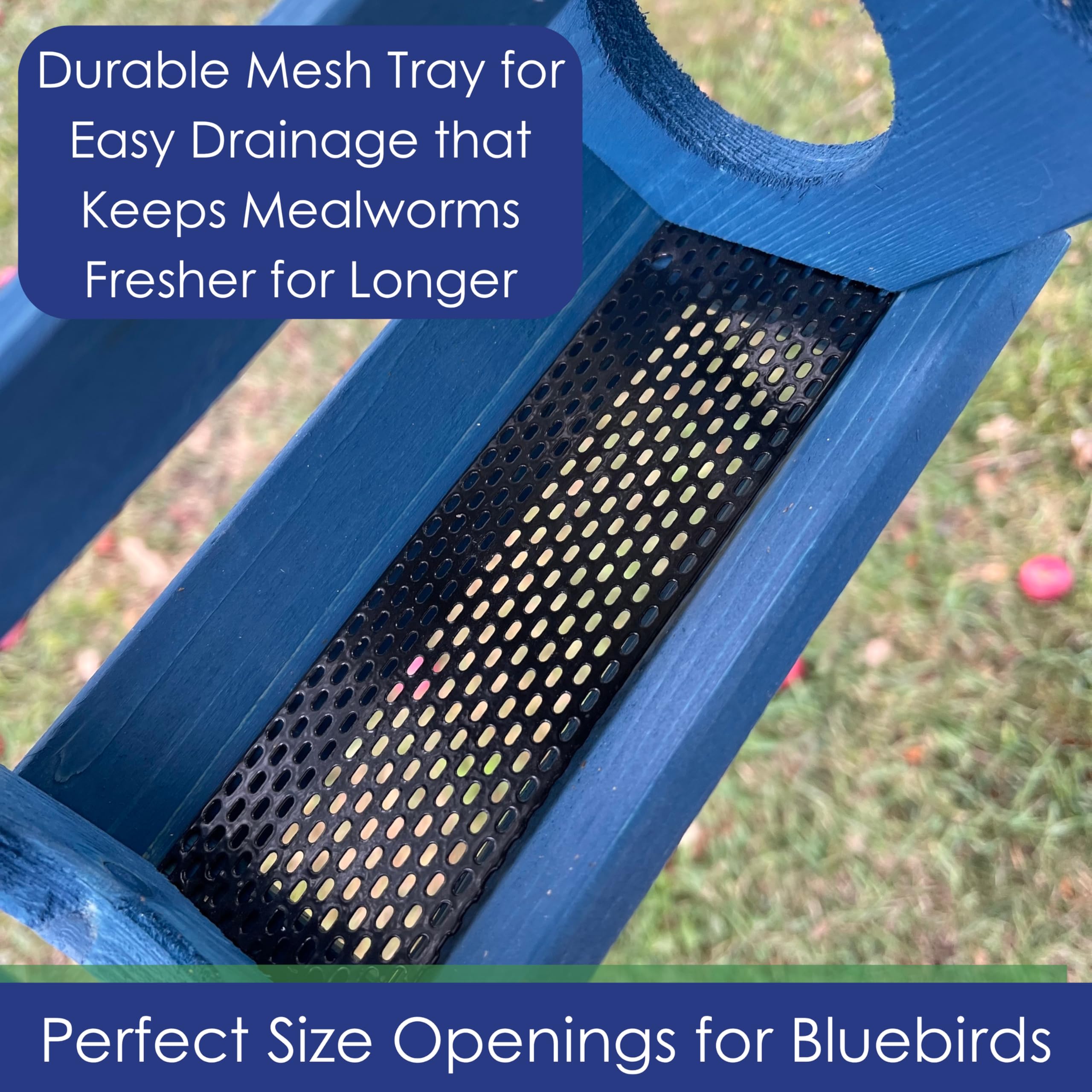 Backyard Essentials petite bluebird feeder blue-painted wood adds charm
