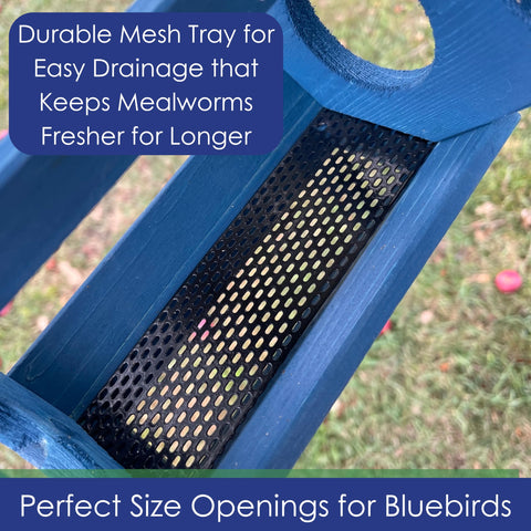 Backyard Essentials petite bluebird feeder blue-painted wood adds charm
