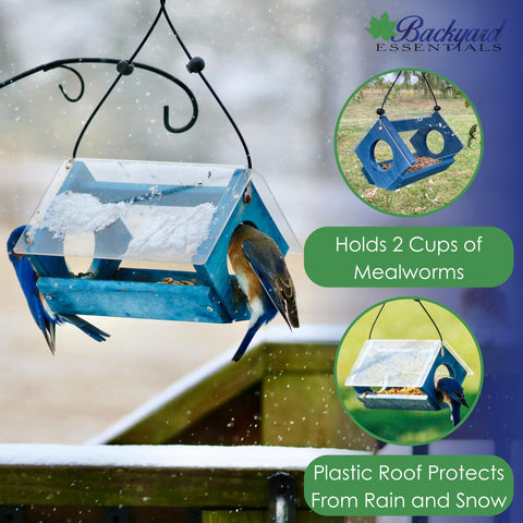 Backyard Essentials bluebird feeder with perforated mesh tray for drainage
