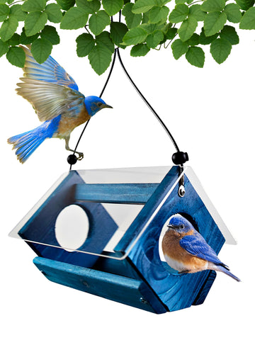 Backyard Essentials petite bluebird feeder with plexiglass roof keeps food dry