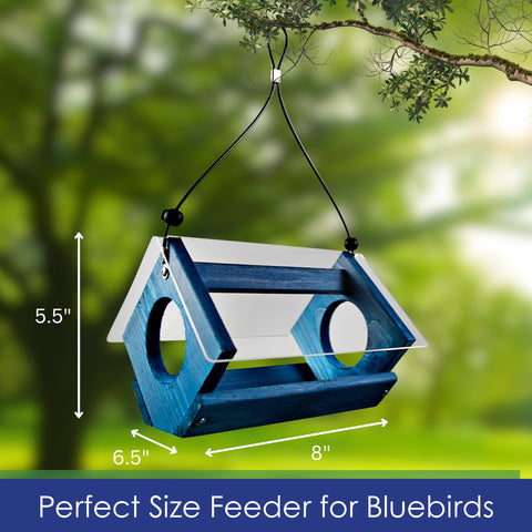 Backyard Essentials feeder with two openings for fly-through access