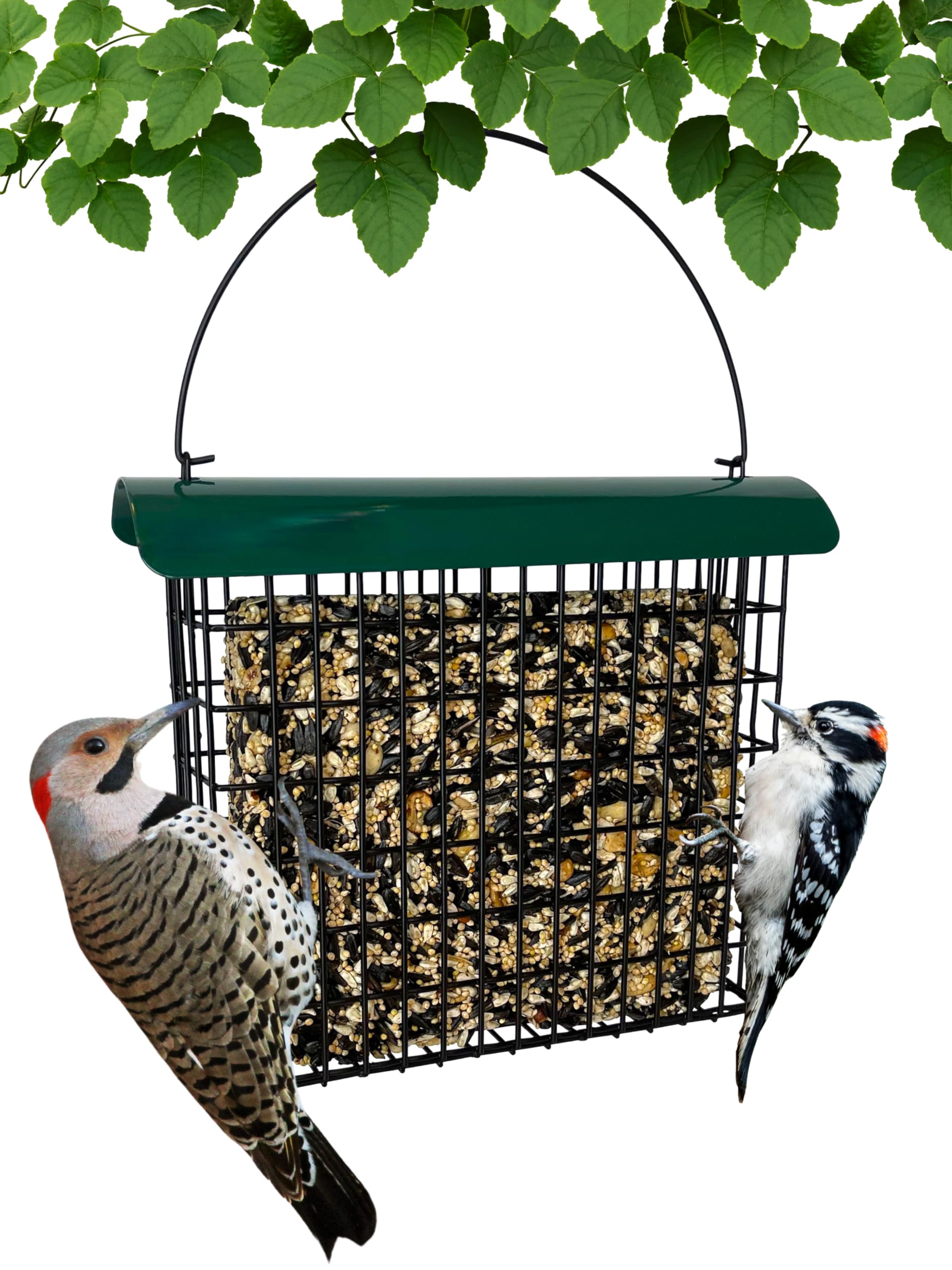 Backyard Essentials suet feeder with metal roof for durable outdoor feeding.