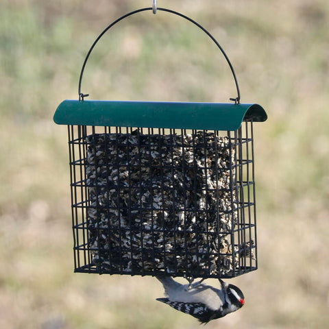 Backyard Essentials woodpecker-friendly feeder attracts clinging birds.