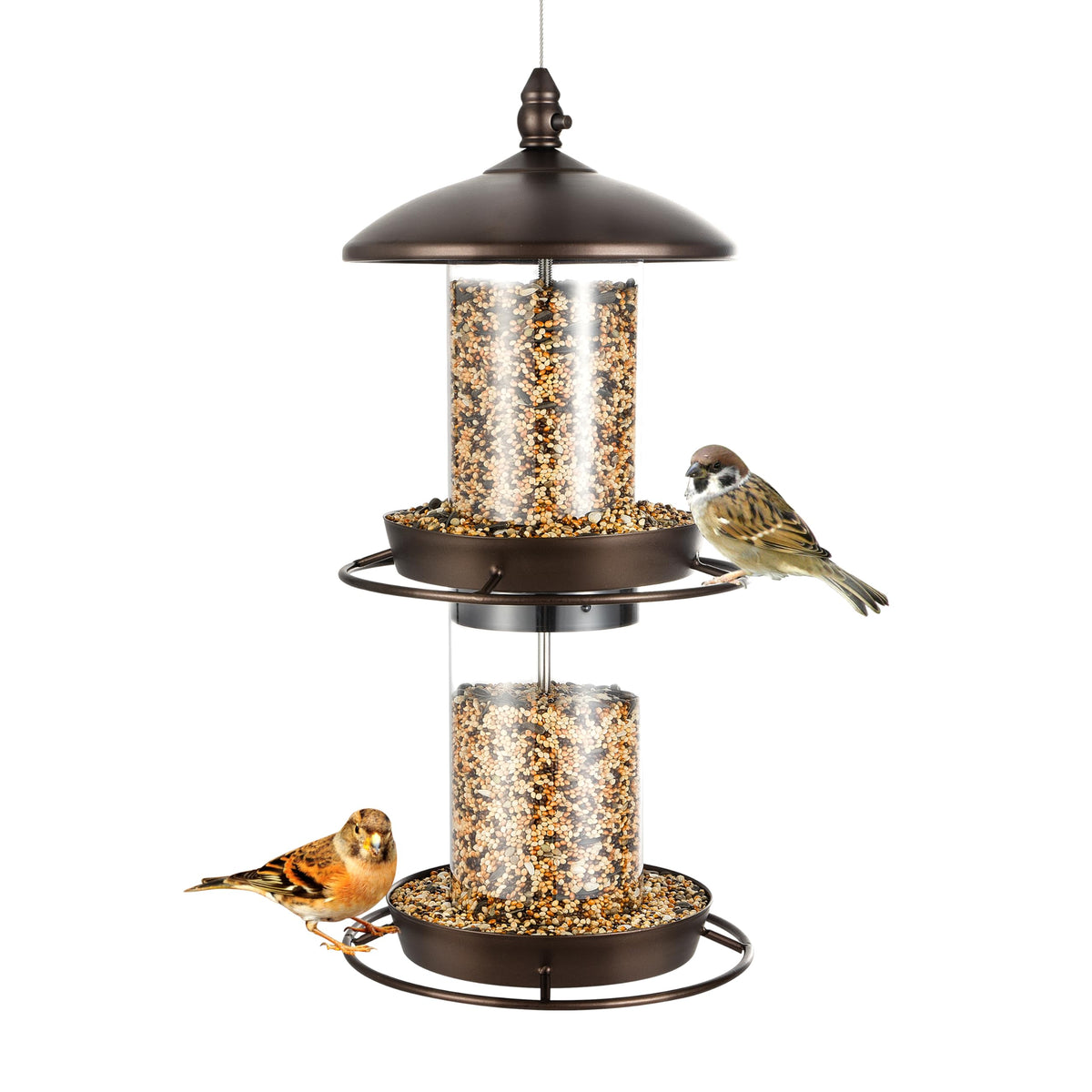 Backyard Expressions 2-Tier Feeder cap closeup shows Sure-Lock protection for birds' seed