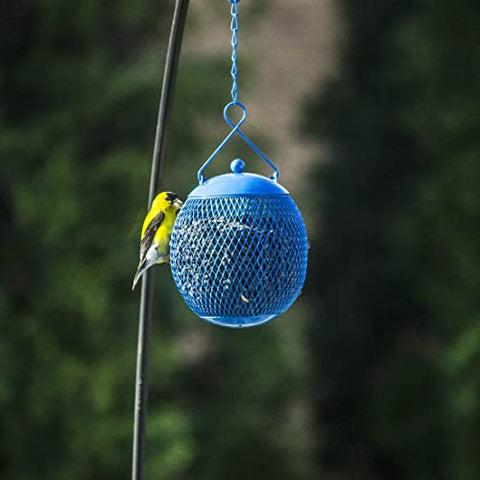 Backyard Expressions yellow feeder adds color for finches and sparrows