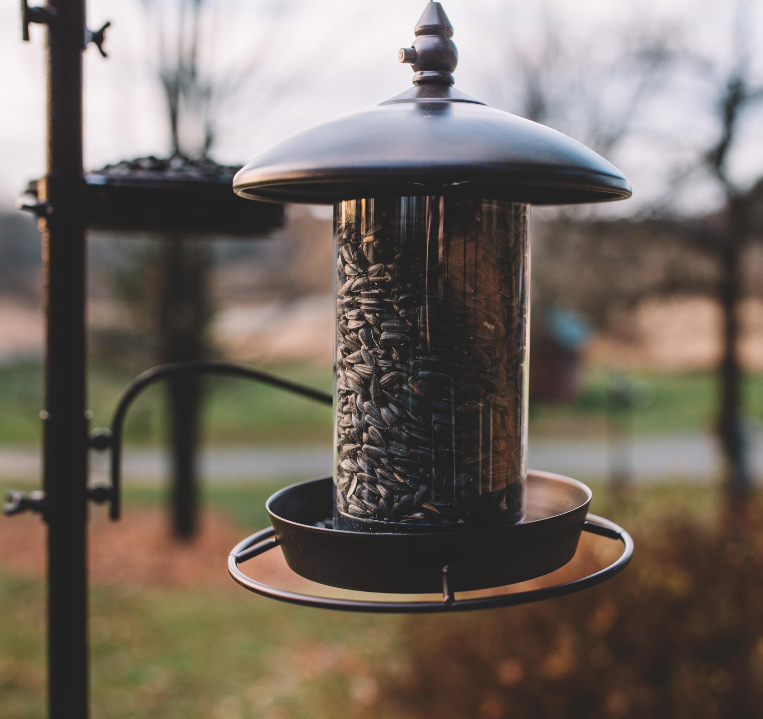Backyard Expressions backyard bird watcher friendly feeder invites cardinals