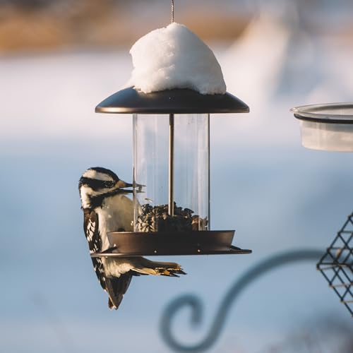 Backyard Expressions flip-top lid feeder for quick refills