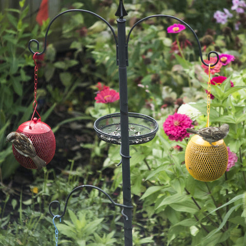Backyard Expressions easy-refill design supports black oil sunflower seeds
