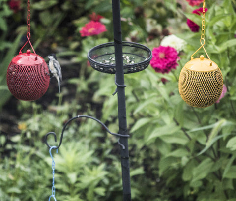 Backyard Expressions family-friendly viewing with an easy-to-use feeding design