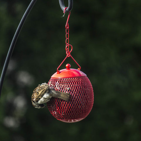 Backyard Expressions hanging feeder setup on branches or poles