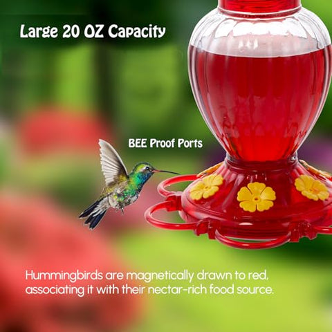 Backyard Expressions Hummingbird Feeder ant moat top keeps nectar clean