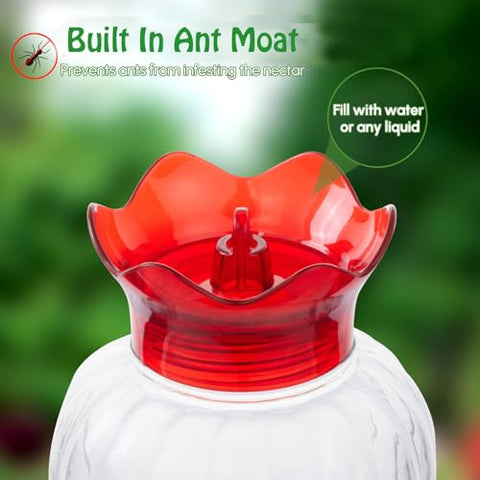 Backyard Expressions feeder featuring ant moat protects nectar from insects