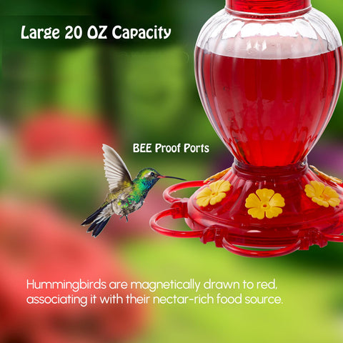 Backyard Expressions clear reservoir displays nectar level at a glance