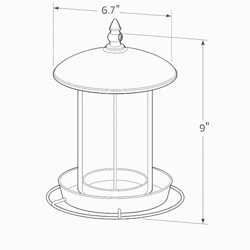 Backyard Expressions bird feeder with large roof and tray shields seeds from rain