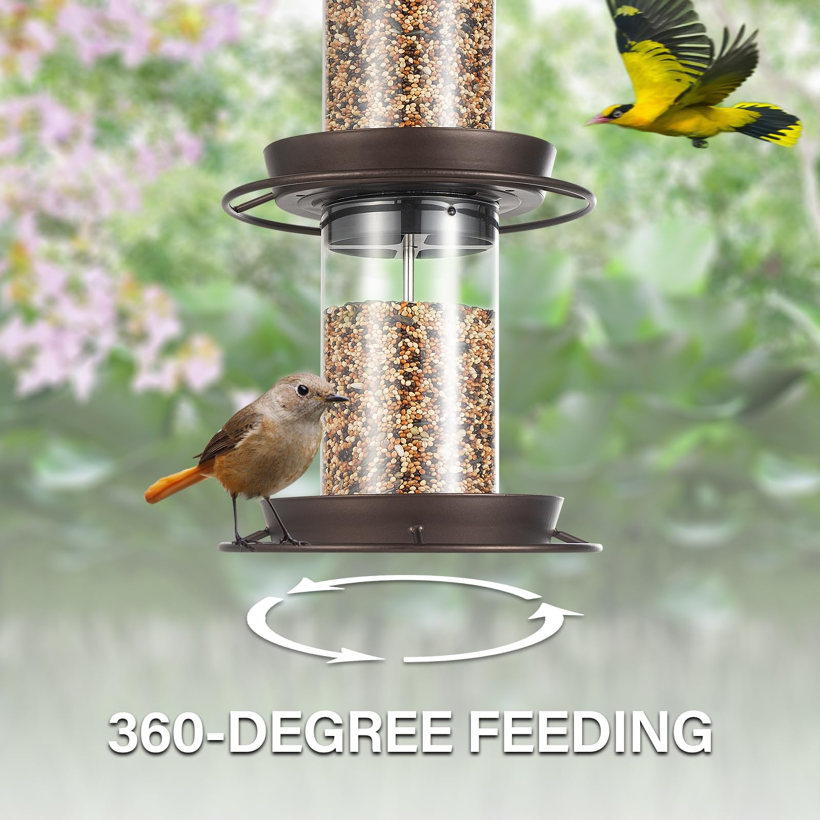 Backyard Expressions seed capacity 4-5lb enables longer feeding