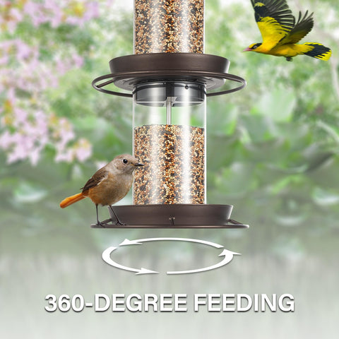 Backyard Expressions seed capacity 4-5lb enables longer feeding