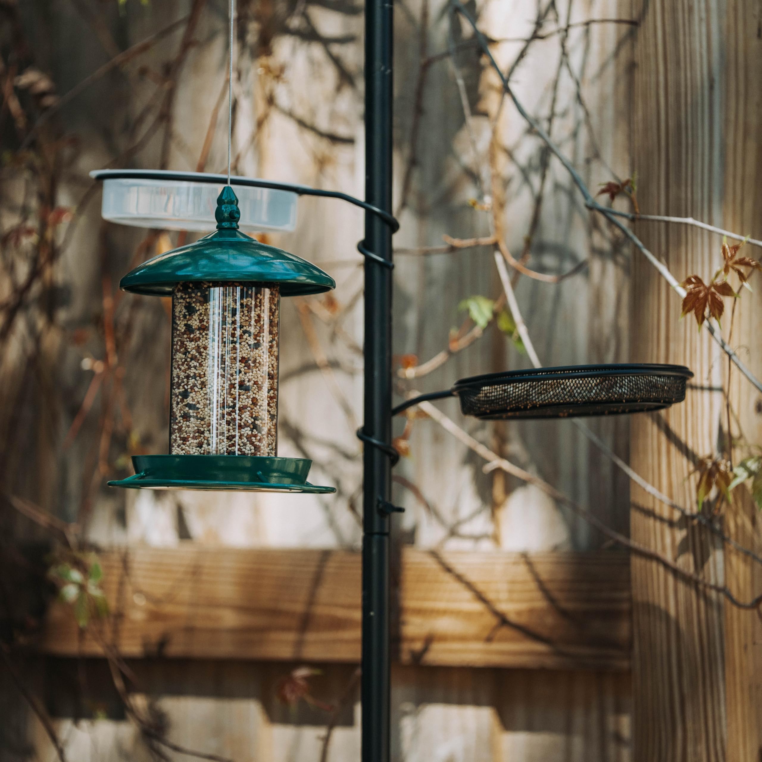 Backyard Expressions wire mesh tray for diverse bird treats.