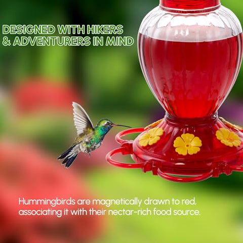 Backyard Expressions six-port bee-proof hummingbird feeder for calm feeding.