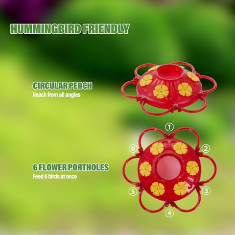 Backyard Expressions hummingbird feeder with built-in ant moat keeps nectar clean.