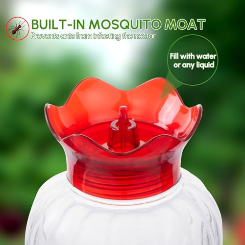 Backyard Expressions wide-mouth hummingbird feeder designed for easy filling and cleaning.