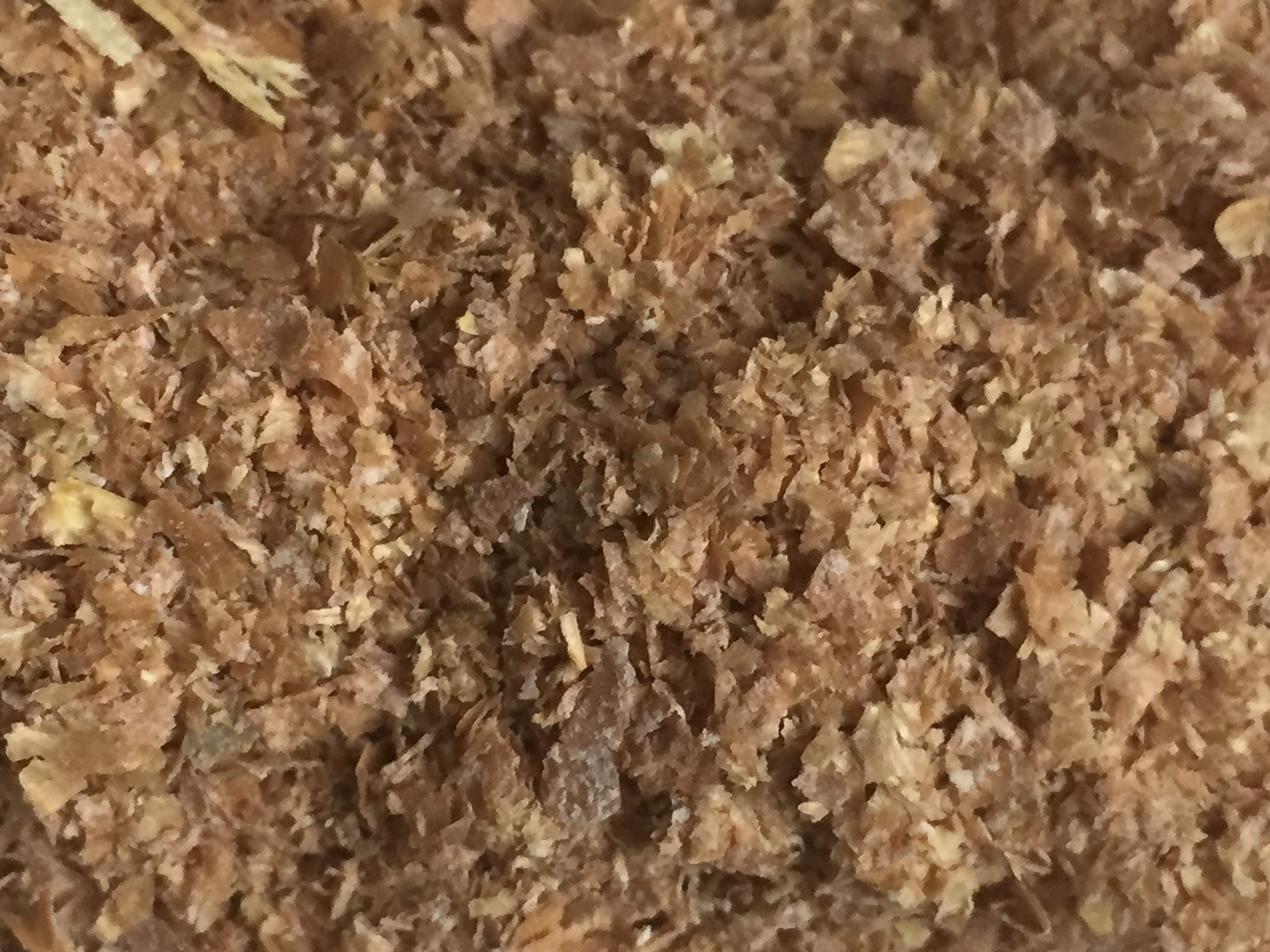 Insect breeding station using BadAssBugs bedding for a consistent medium