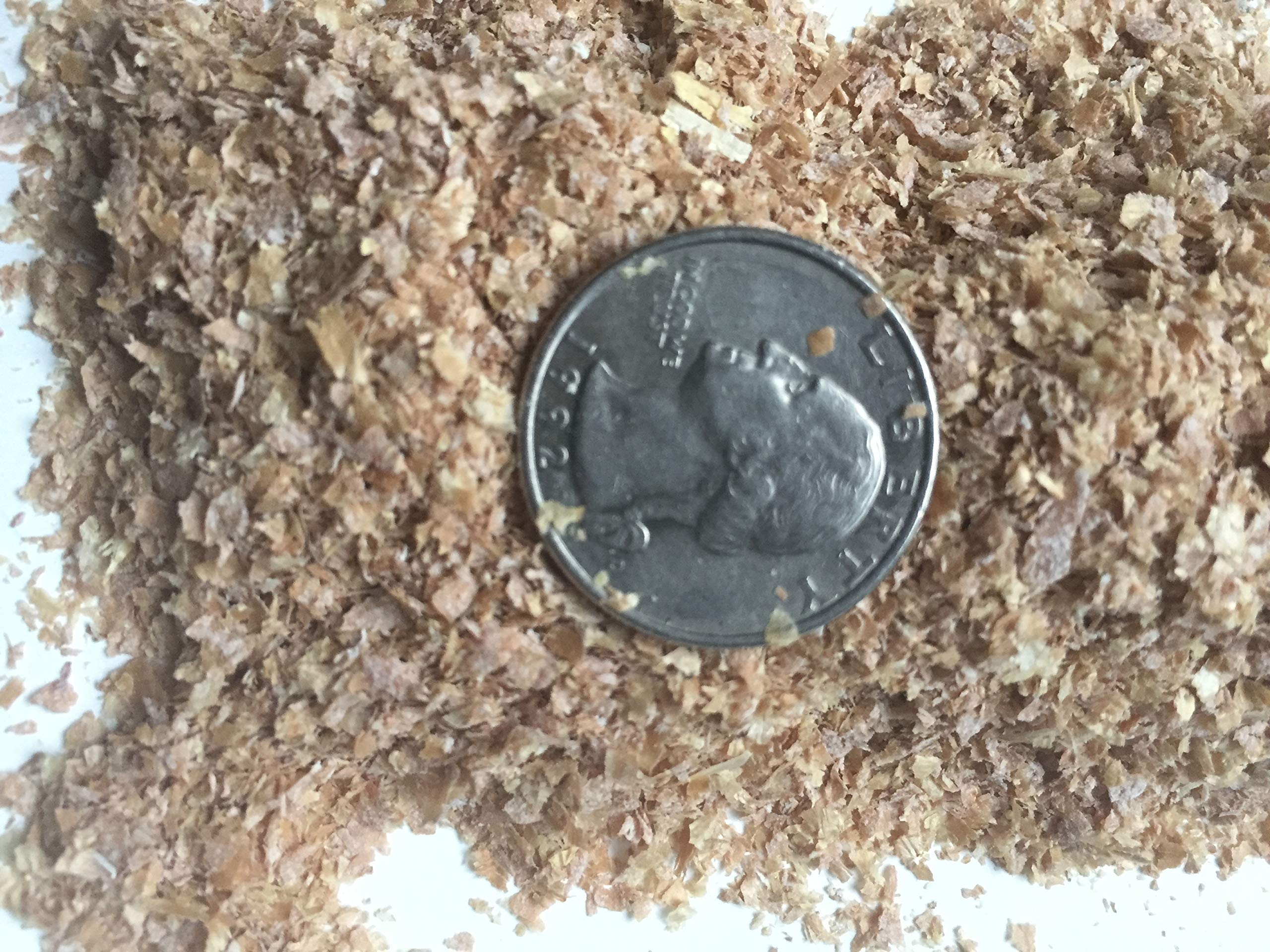 Mealworms on BadAssBugs bedding illustrate safe, stable housing