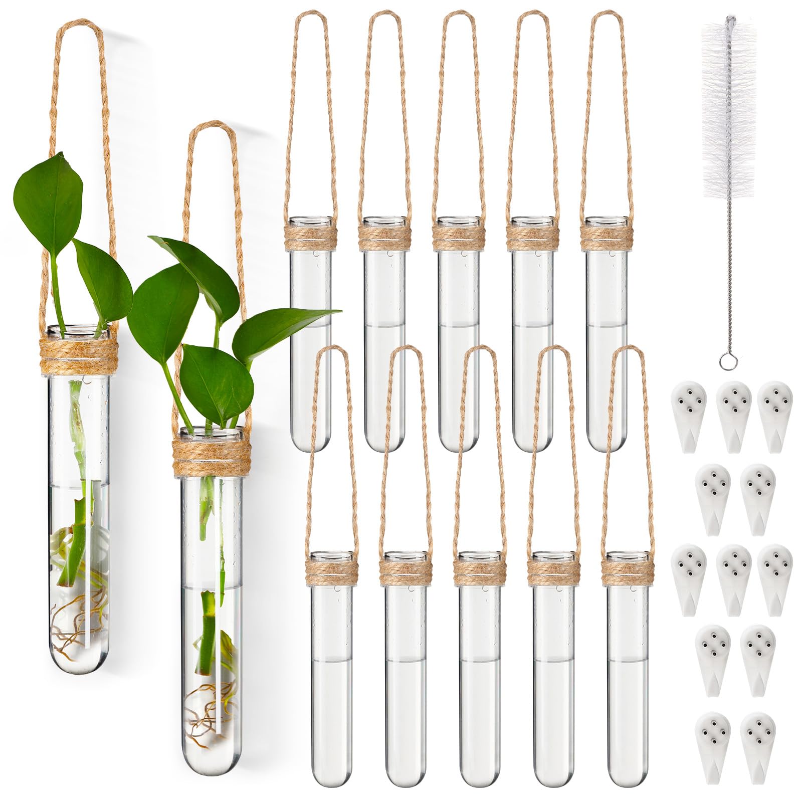 Baderke 12-pack propagation tubes: clear vessels to monitor root growth.