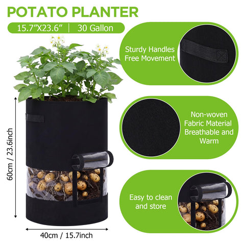 Baderke 360-degree visibility grow bag showing root development clearly