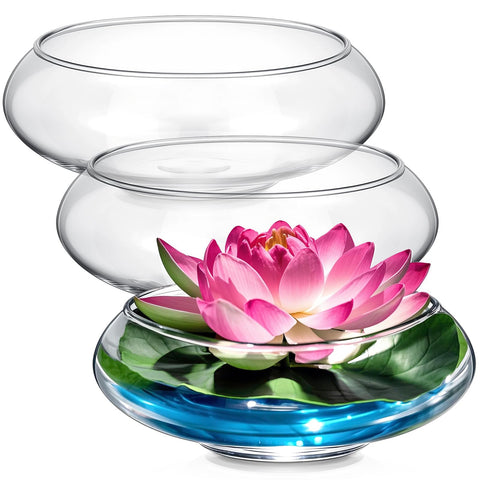Baderke 3-pack hydroponic planter with lotus pot for a stylish indoor display.