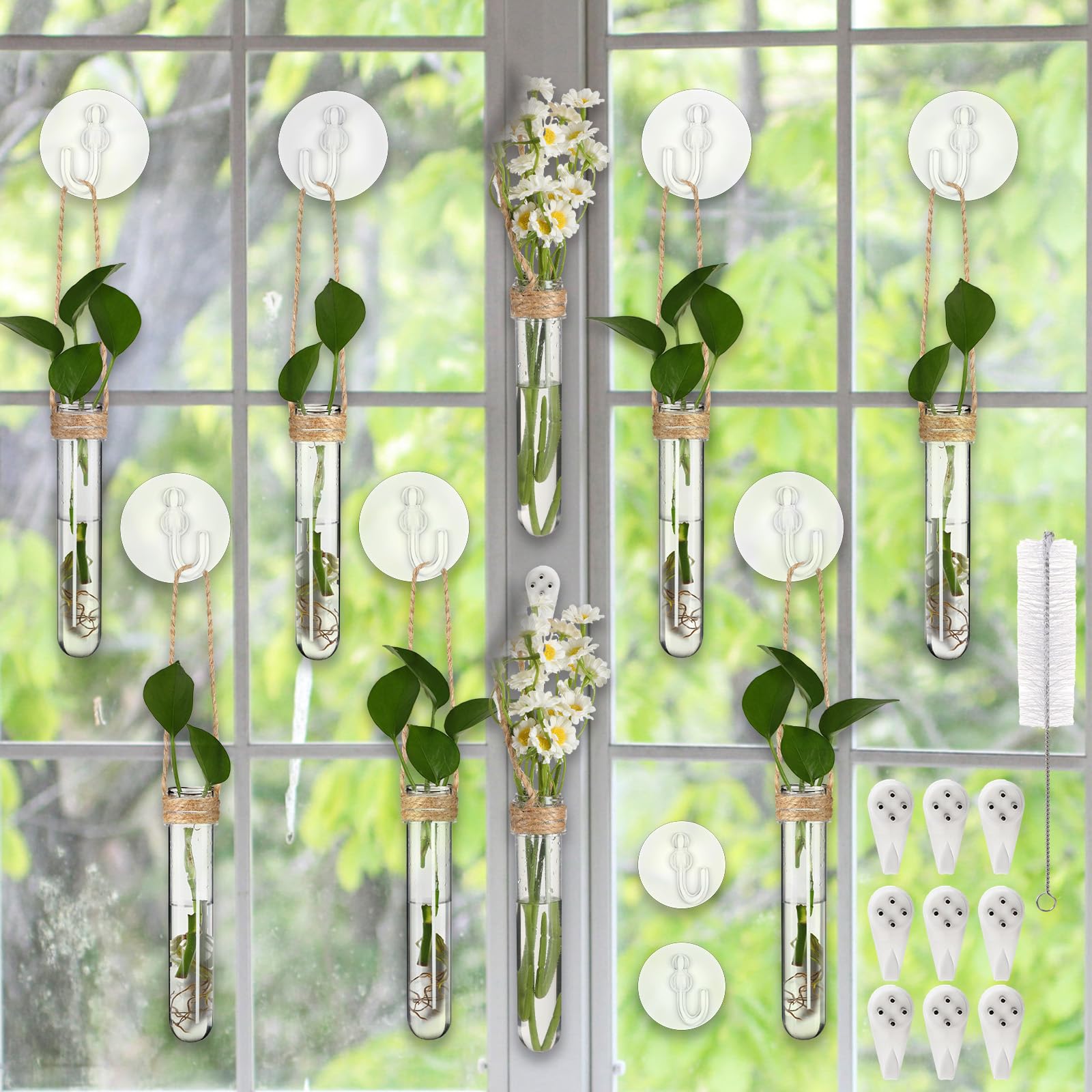 Baderke 9-pack clear window propagation stations with suction cups enable easy indoor propagation and root monitoring.